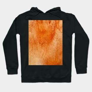 Orange watercolor gradient  design Hoodie